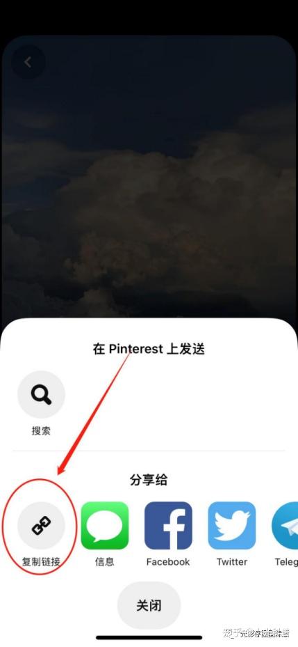 pintersest安卓版国外设计网站pinterest-第1张图片-太平洋在线下载