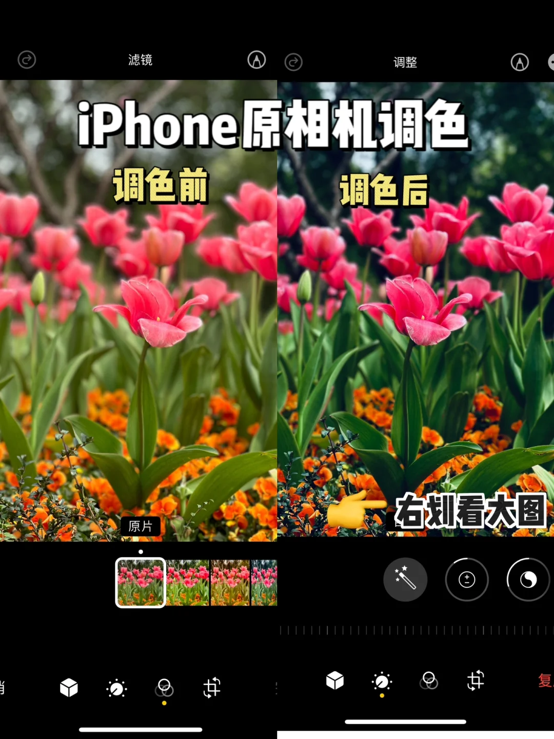 壁纸调色苹果版软件iphone万能调色下载-第2张图片-太平洋在线下载